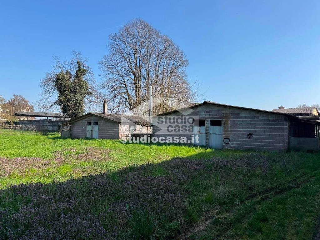 immagine annuncio 10 di 15