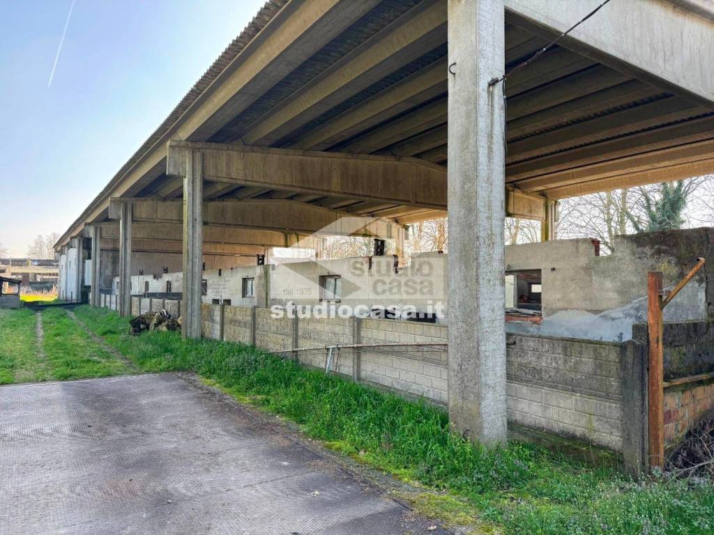 immagine annuncio 11 di 15