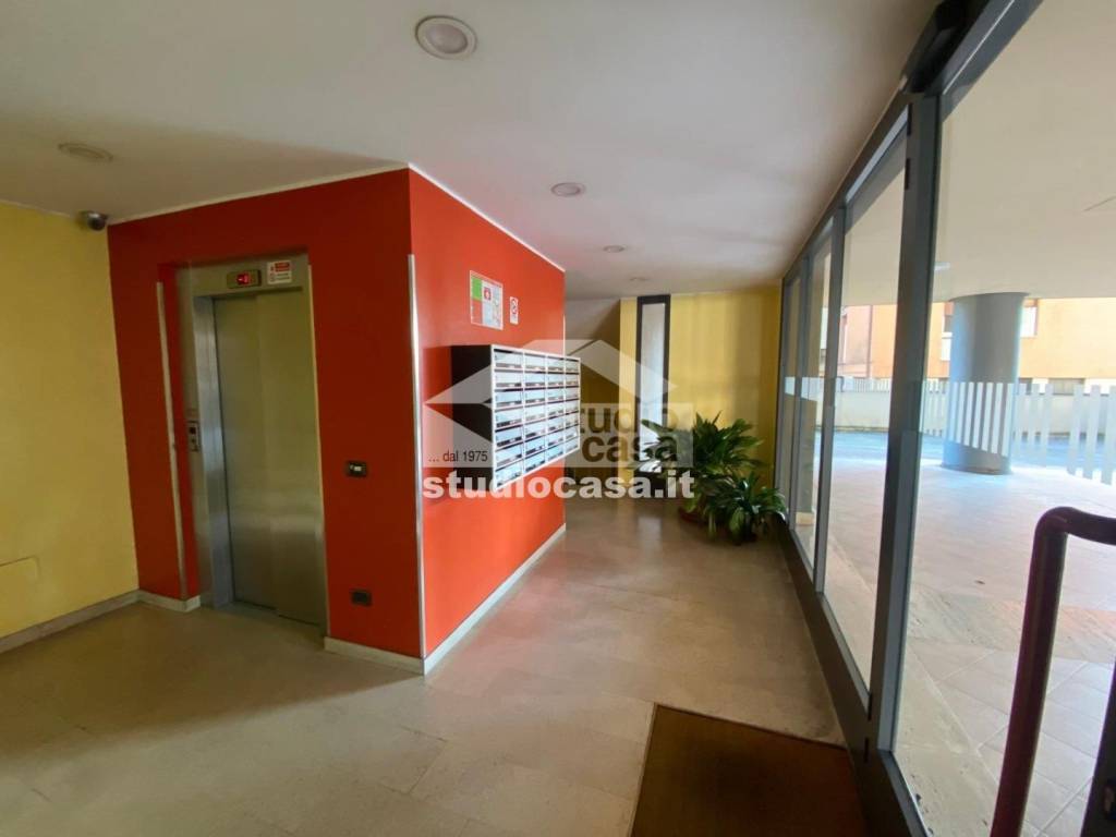 immagine annuncio 2 di 13