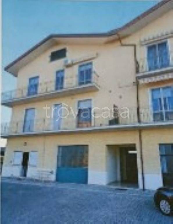 immagine annuncio 4 di 12