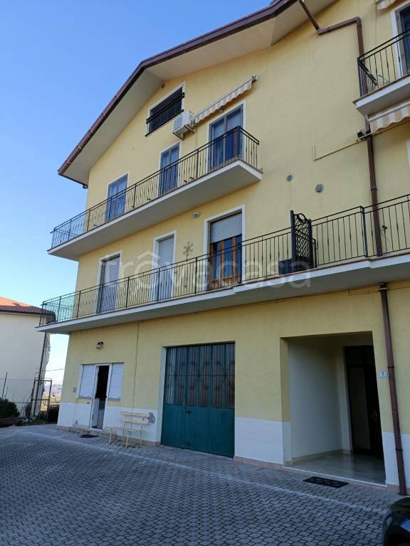 immagine annuncio 5 di 12