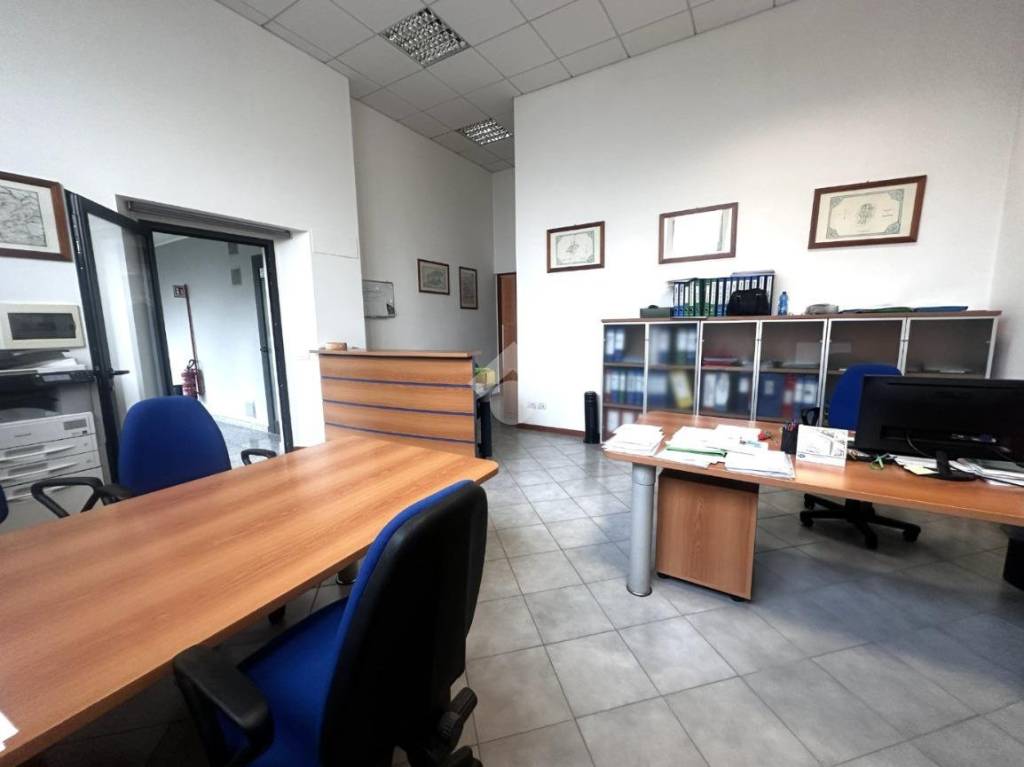 immagine annuncio 5 di 15