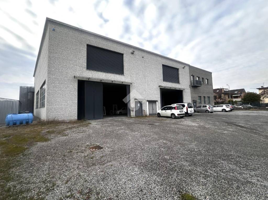 immagine annuncio 6 di 15