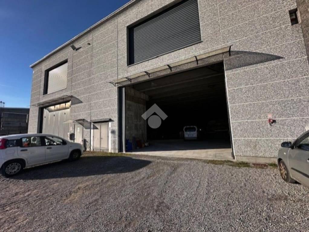 immagine annuncio 7 di 15