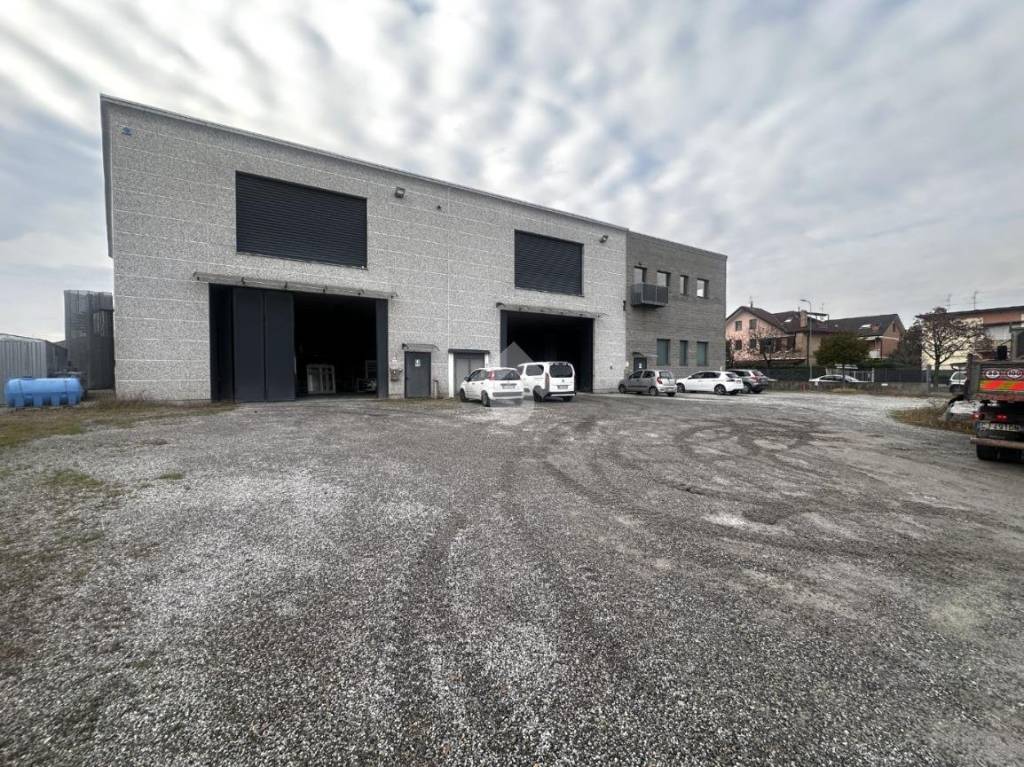 immagine annuncio 9 di 15