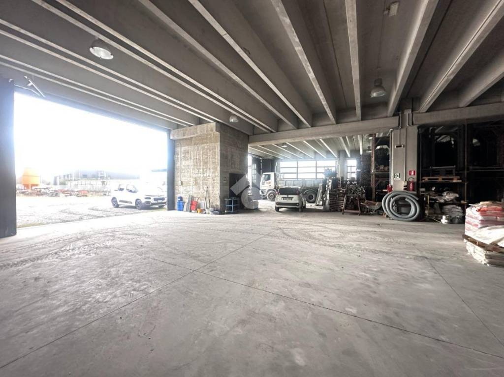 immagine annuncio 11 di 15