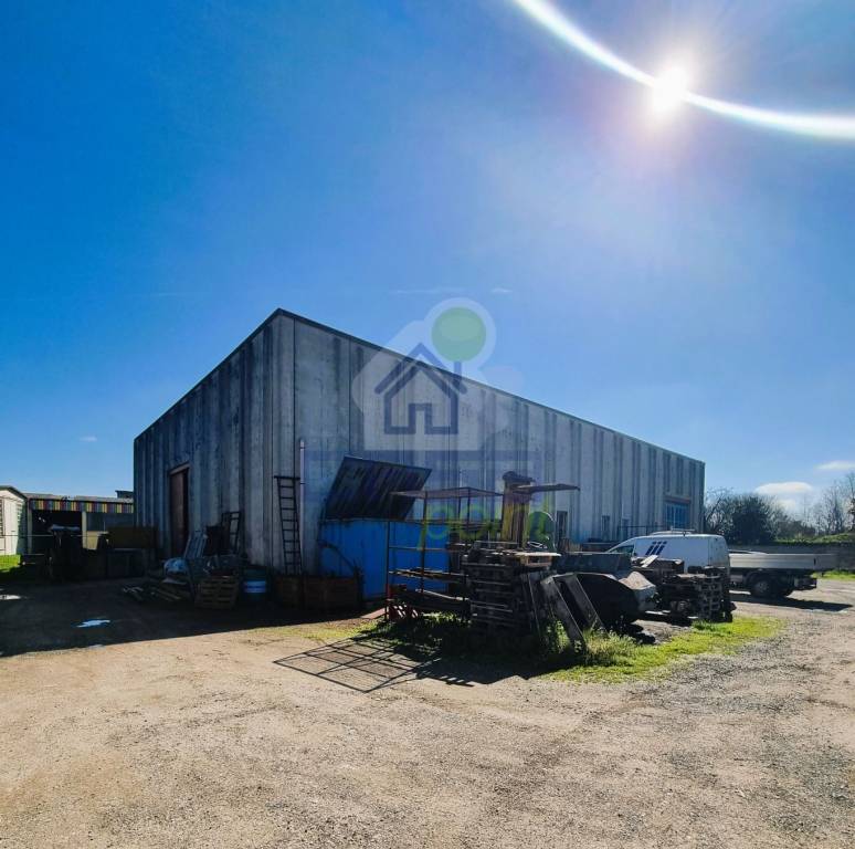 immagine annuncio 3 di 4