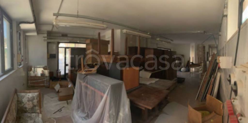 immagine annuncio 5 di 11