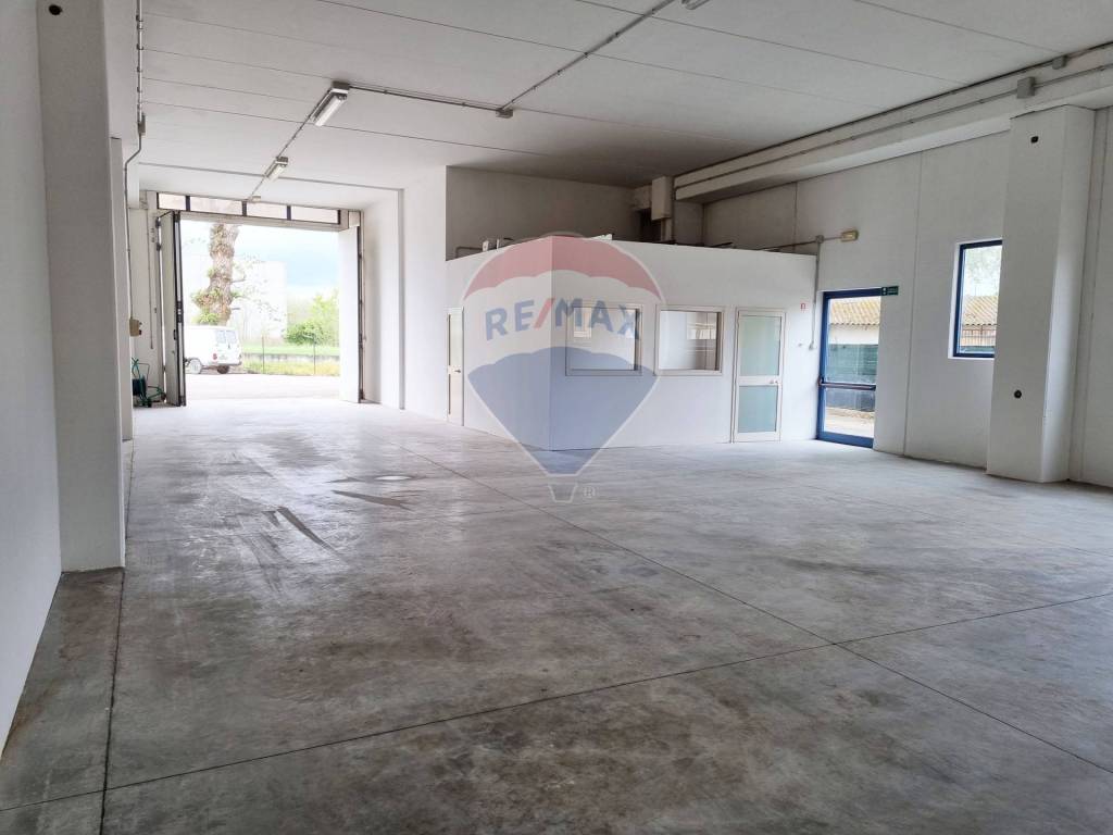 immagine annuncio 2 di 9