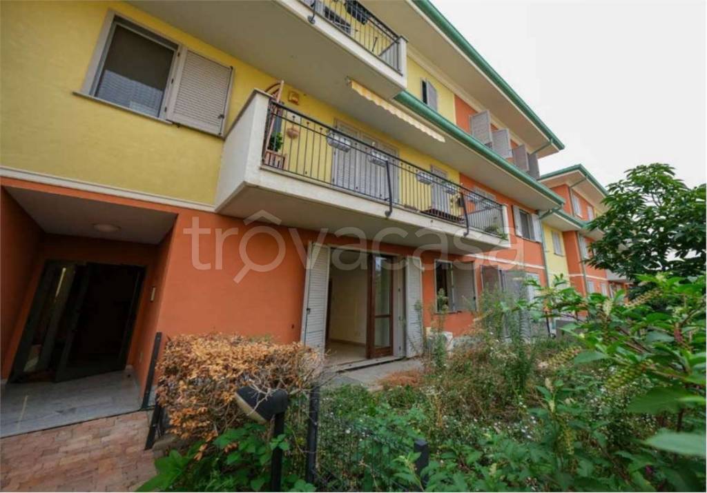 immagine annuncio 1 di 15