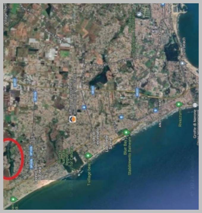 immagine annuncio 12 di 15