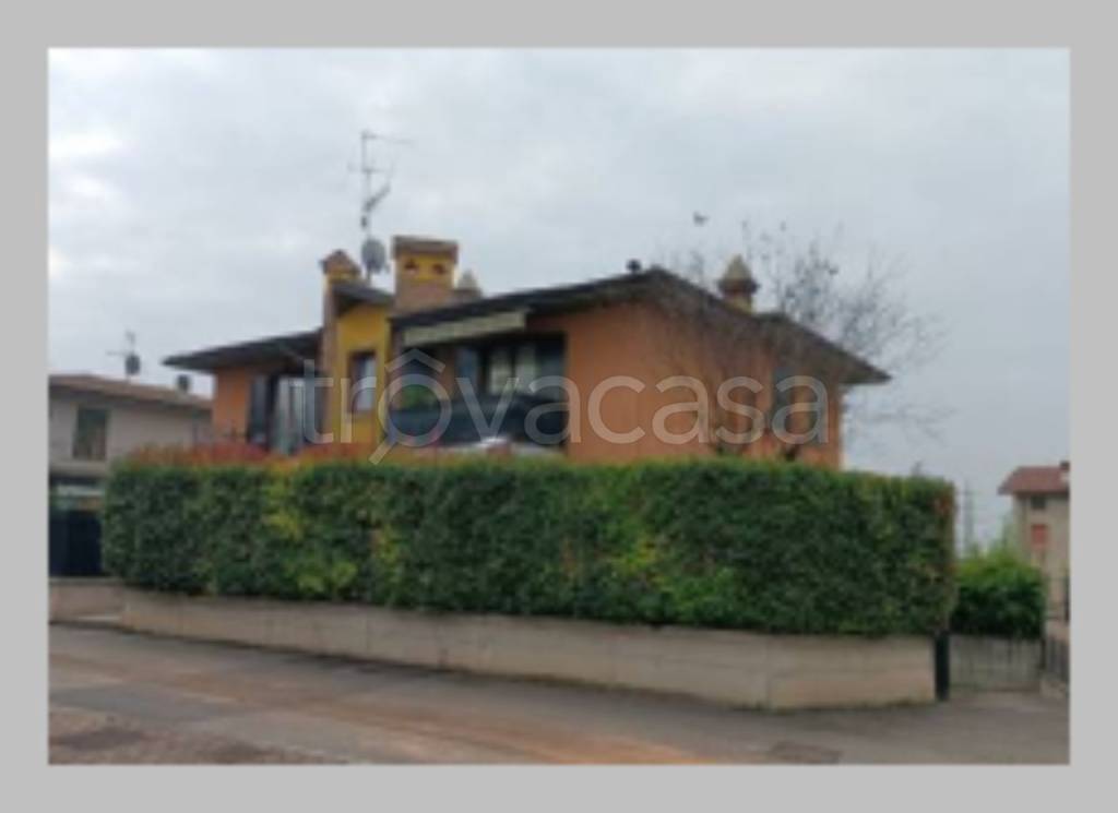 immagine annuncio 11 di 15