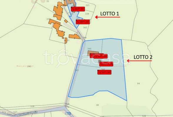 immagine annuncio 10 di 15