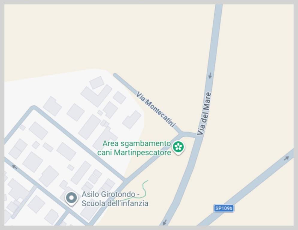 immagine annuncio 11 di 15