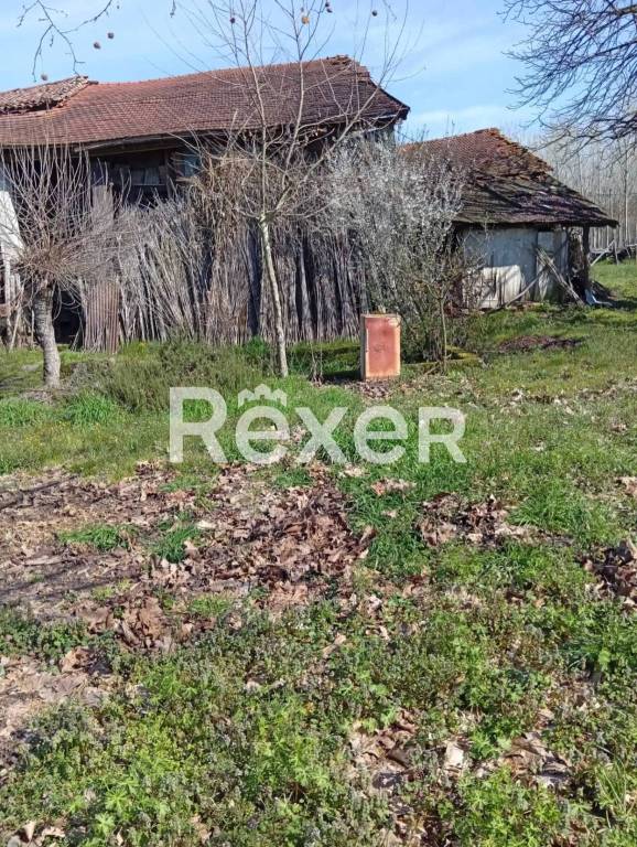 immagine annuncio 5 di 11