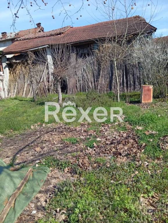 immagine annuncio 6 di 11