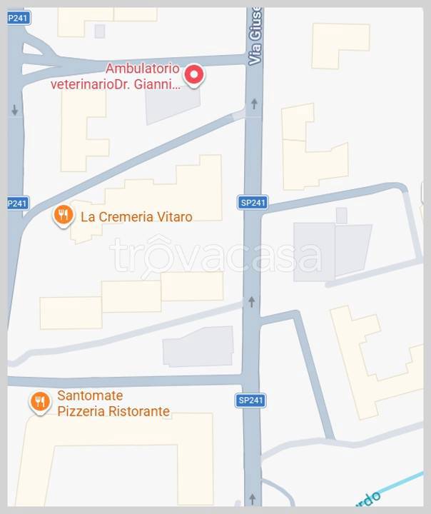 immagine annuncio 13 di 15