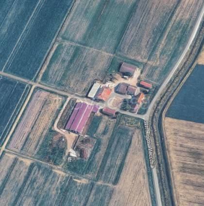 immagine annuncio 4 di 15