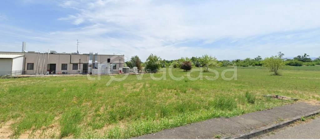 immagine annuncio 3 di 6