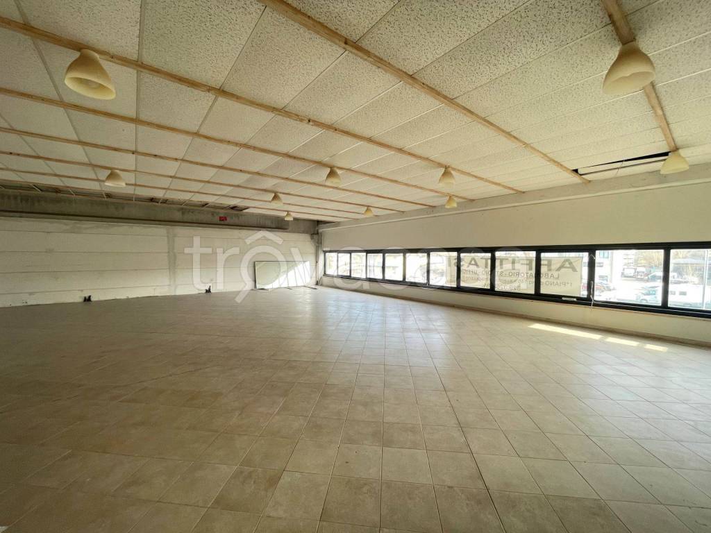 immagine annuncio 1 di 8