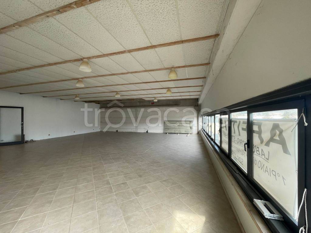 immagine annuncio 3 di 8