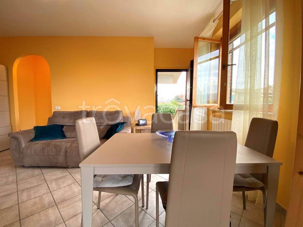 immagine annuncio 9 di 15