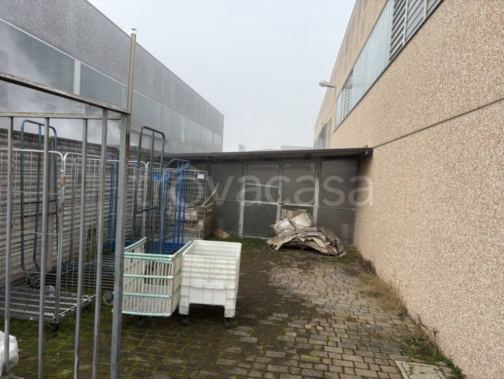 immagine annuncio 6 di 15