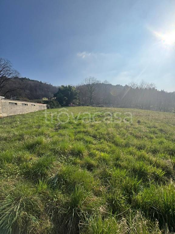 immagine annuncio 1 di 2