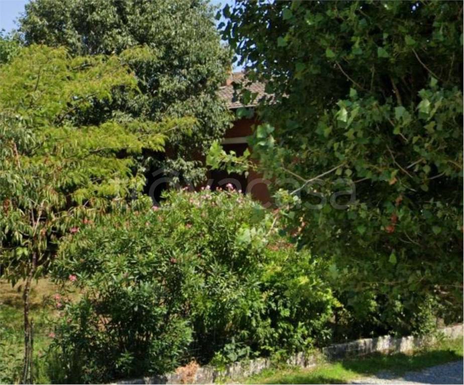 immagine annuncio 3 di 12