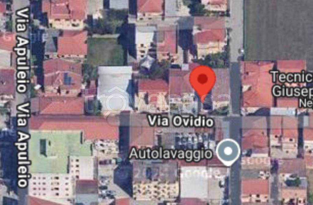 immagine annuncio 3 di 10