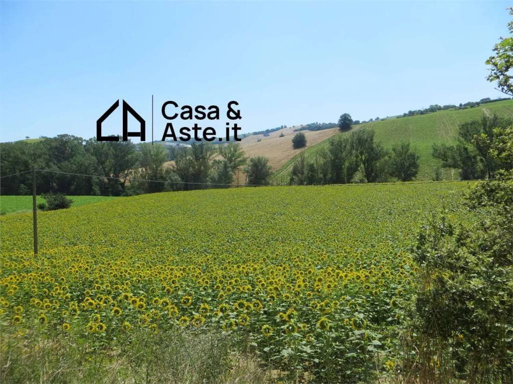 immagine annuncio 1 di 7