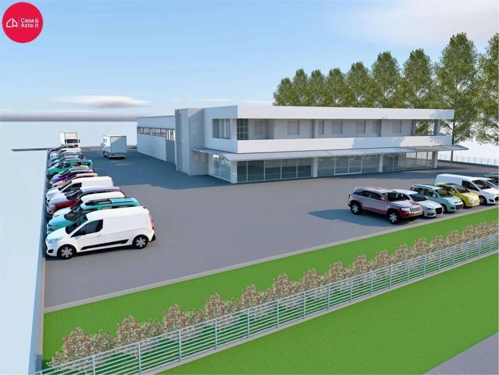 immagine annuncio 1 di 8