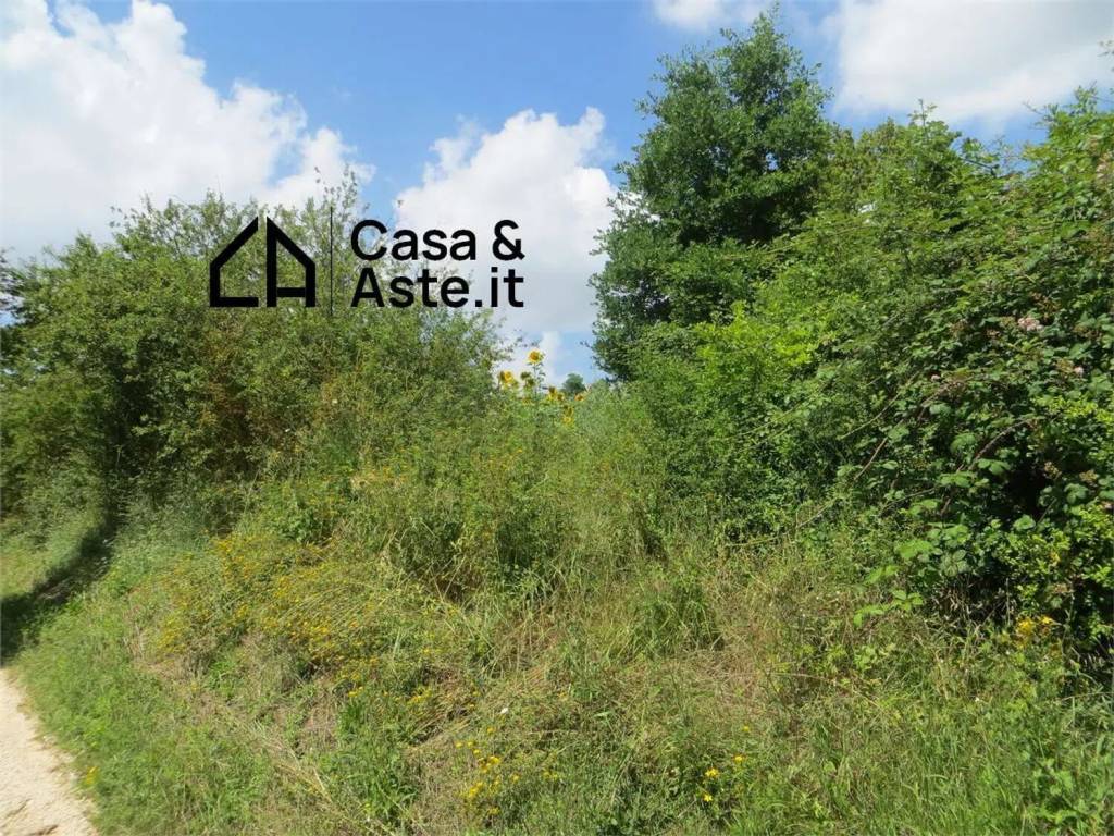 immagine annuncio 3 di 7