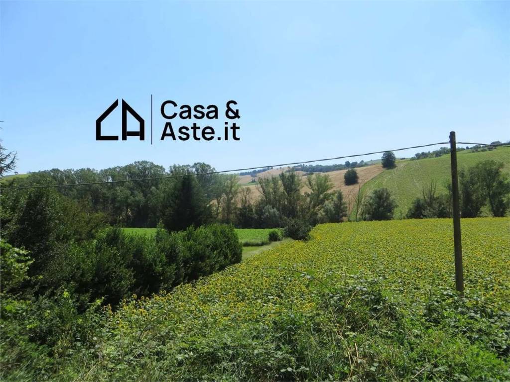 immagine annuncio 4 di 7