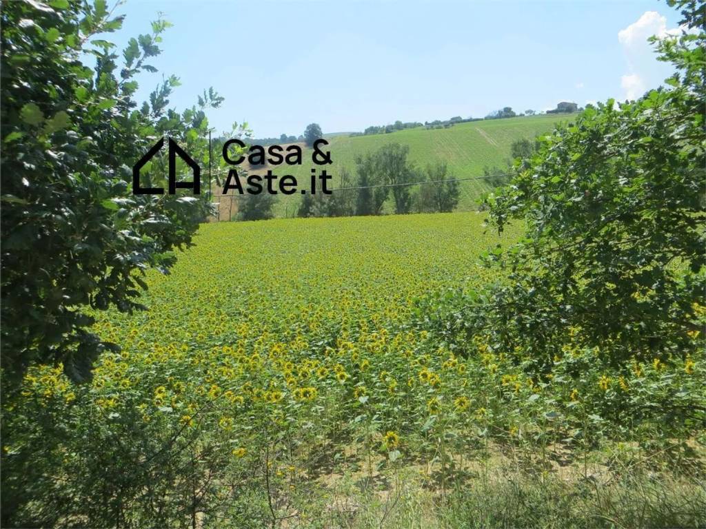 immagine annuncio 5 di 7