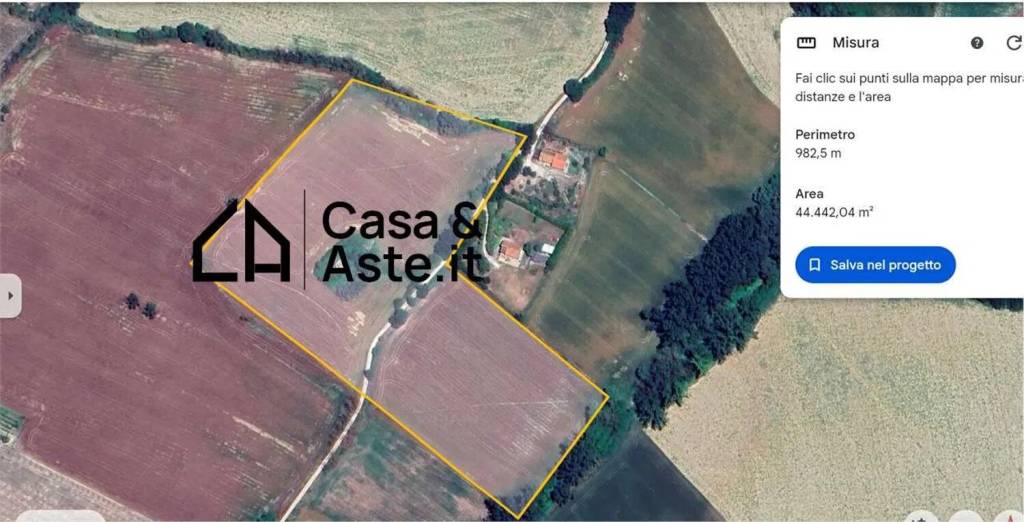 immagine annuncio 6 di 7