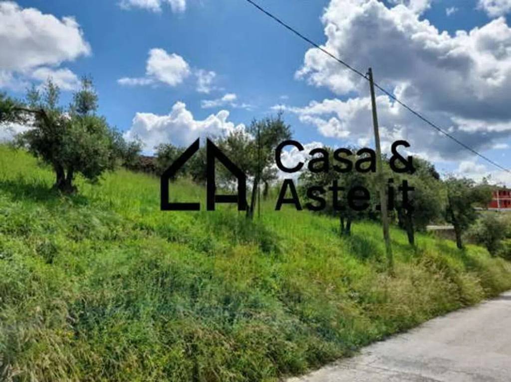 immagine annuncio 3 di 8