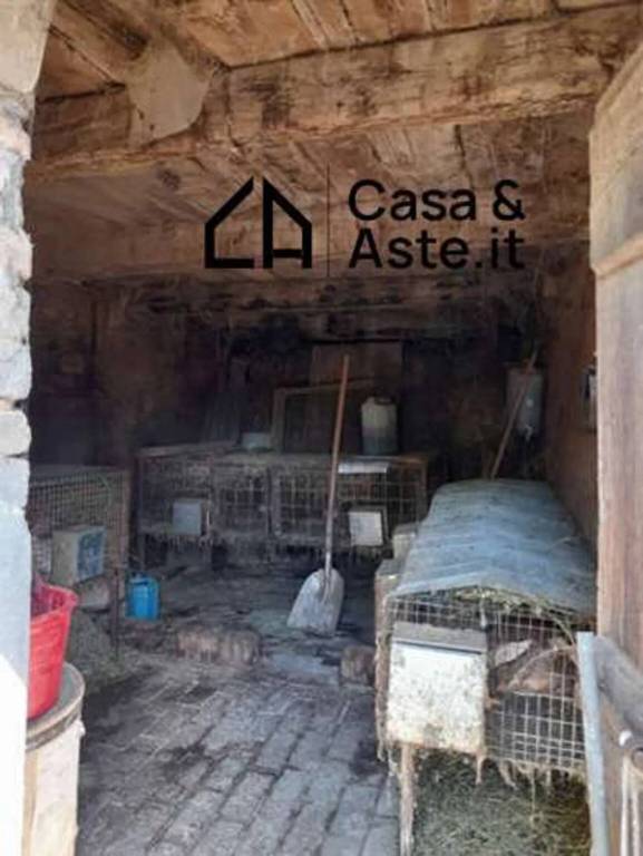 immagine annuncio 5 di 8