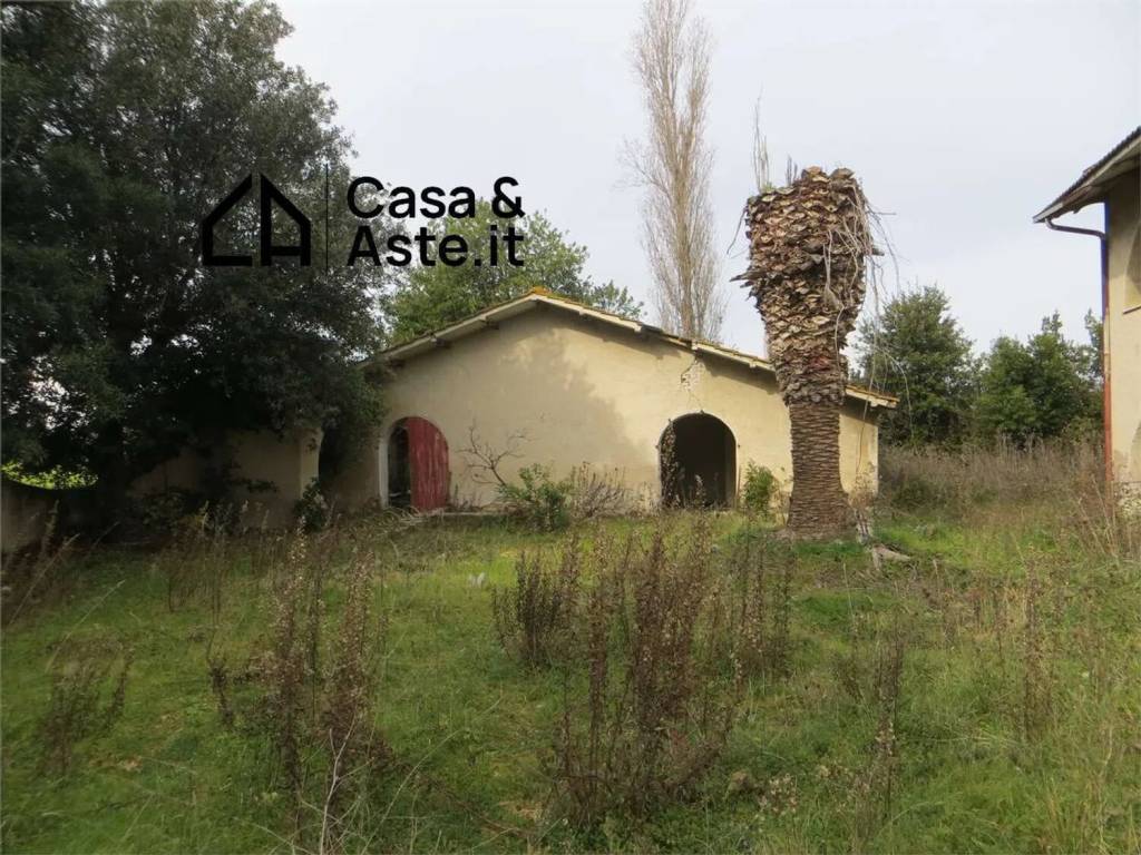 immagine annuncio 2 di 9