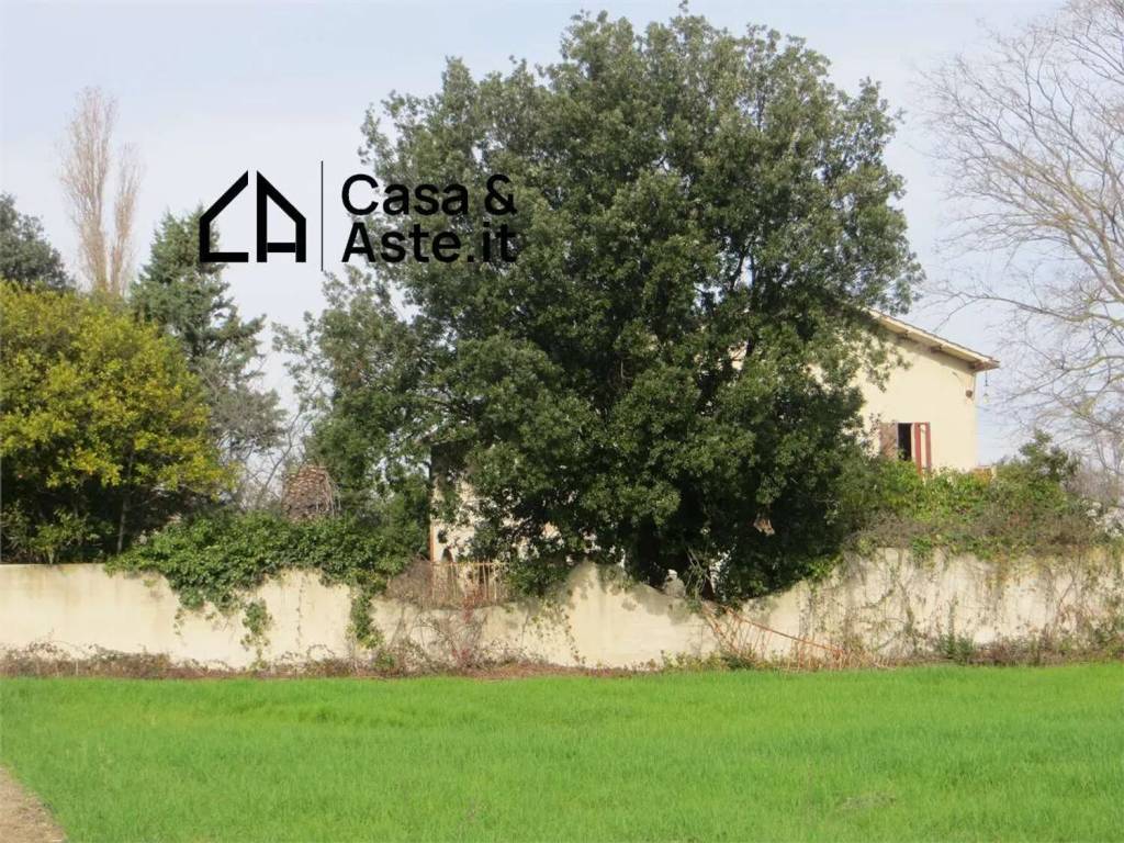 immagine annuncio 3 di 9