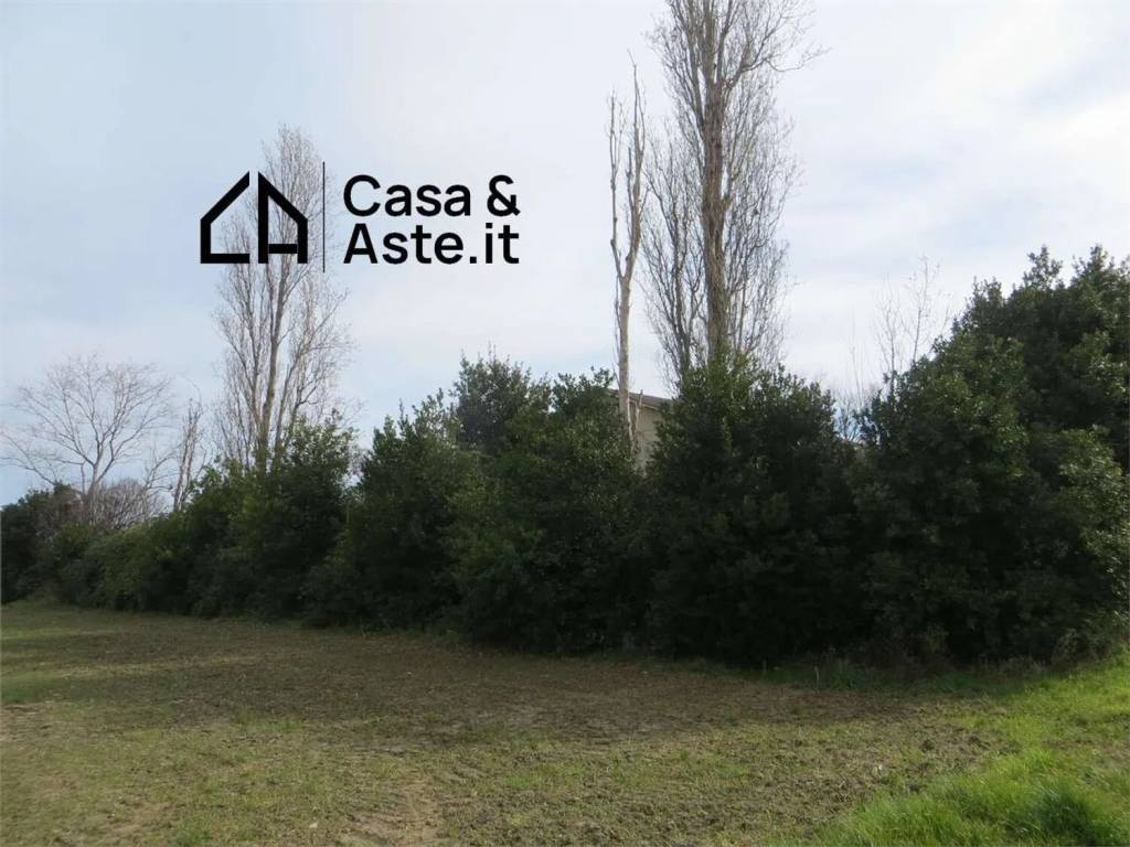 immagine annuncio 6 di 9