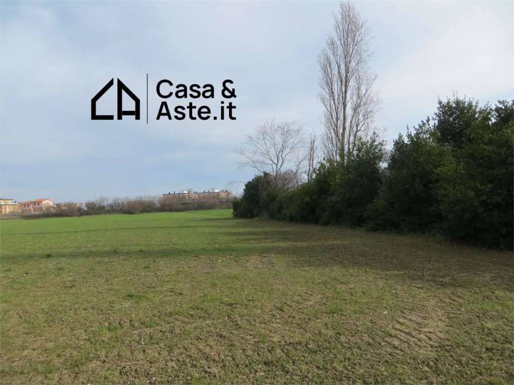 immagine annuncio 7 di 9