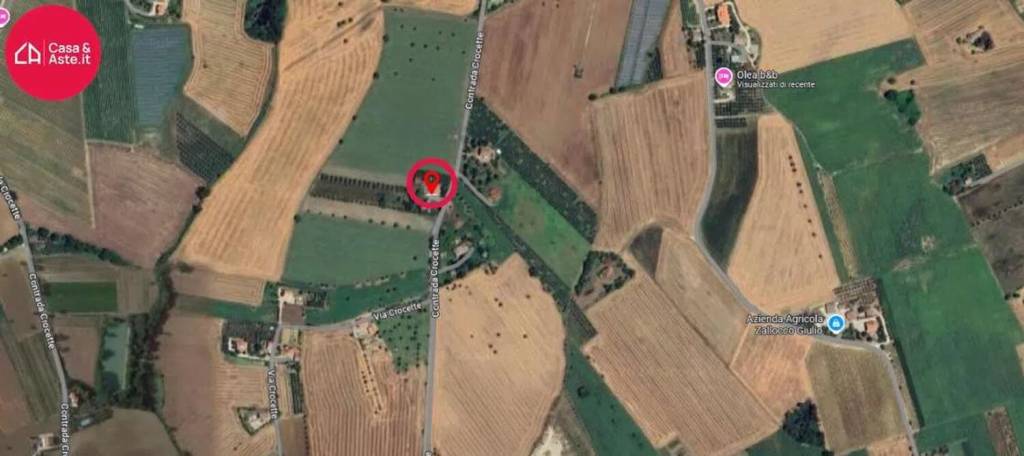 immagine annuncio 11 di 12