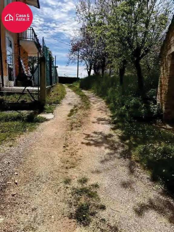 immagine annuncio 1 di 14