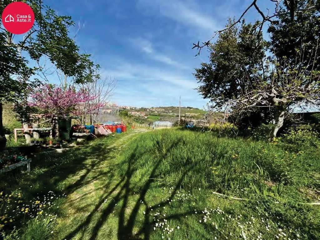 immagine annuncio 13 di 14