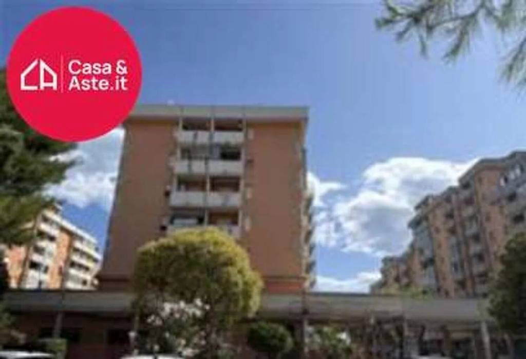 immagine annuncio 2 di 12