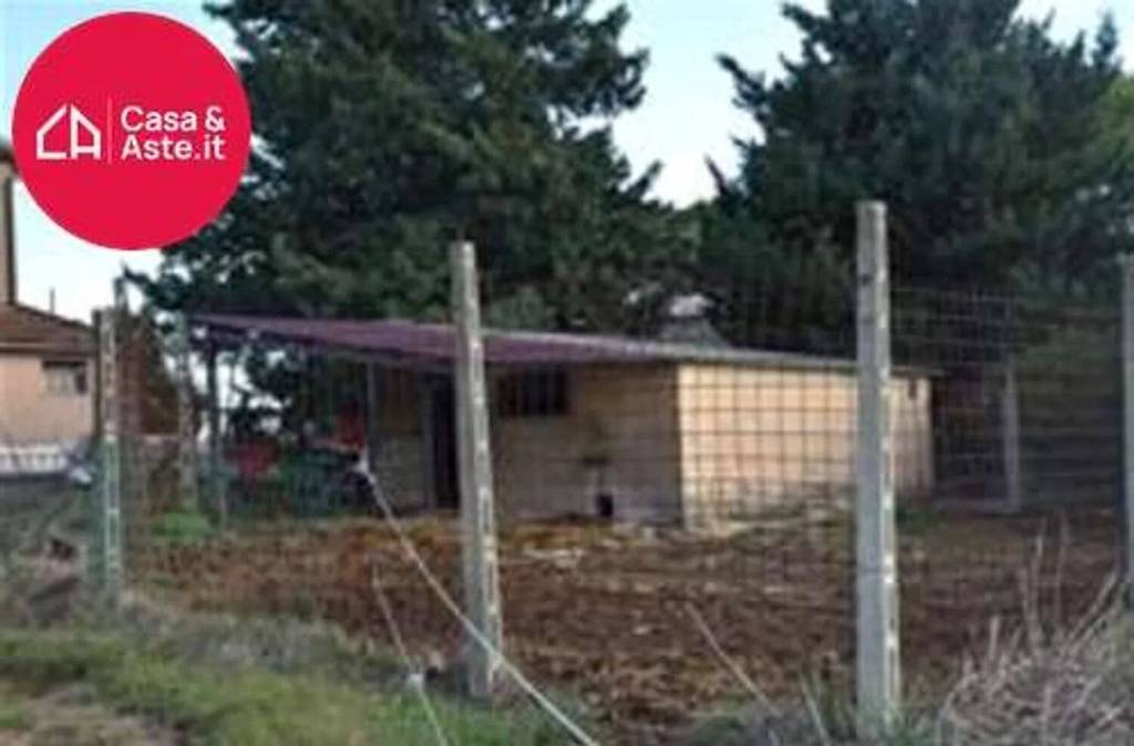 immagine annuncio 4 di 7