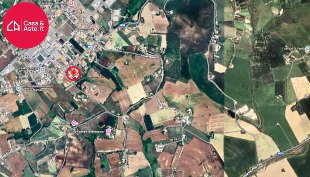 immagine annuncio 10 di 11