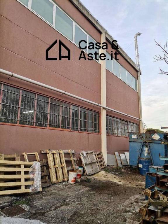 immagine annuncio 11 di 15