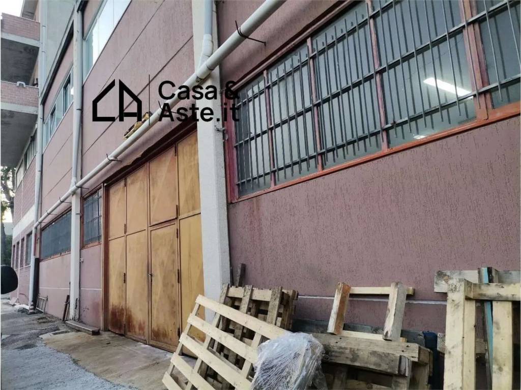 immagine annuncio 12 di 15